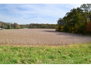 Property photo 99 - MAJOR ILLINOIS LAND AUCTION - 752.54+/- ACRES OFFERED IN 9 TRACTS IN KANKAKEE COUNTY, ILLINOIS